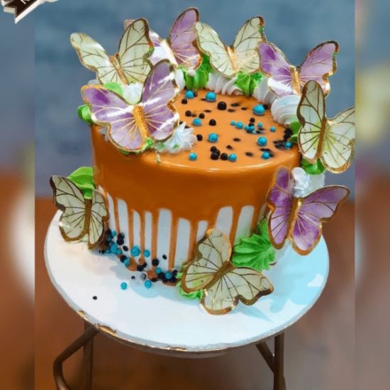 Butterfly Cake Mohali & Bathinda
